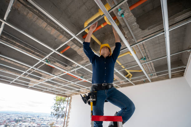 Best Plumbing Inspection Services  in Lahaina, HI